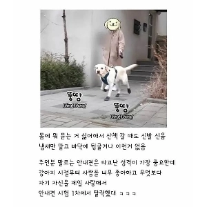 レトリーバーはきれいなものが好き