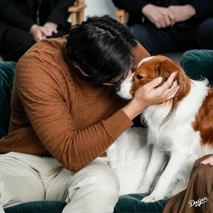 今日の大谷さん家族写真