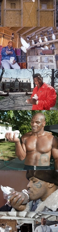 マイク・タイソンが今でも楽しんでいる趣味