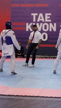 (SOUND)Reddit で話題のテコンドーテクニック