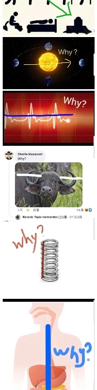 なぜミームが海外で流行っているのか、はははははは