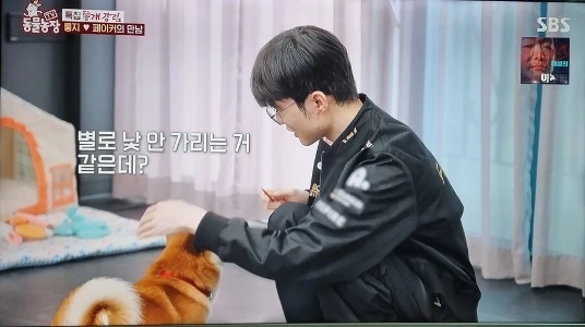 今日の動物農場 ジャ・デサンヒョク