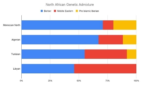 モロッコ人とアルジェリア人の10～20％は亡命スペイン人のイスラム教徒の子孫である。