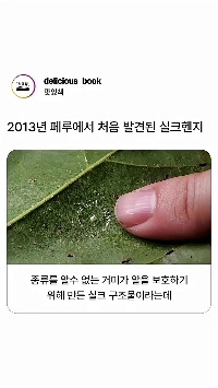 (SOUND)クモが作った驚くべき構造物