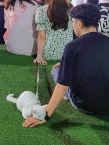 野外コンサートで誘惑