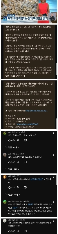 韓国人はカニによるドイツの苦しみを理解していない