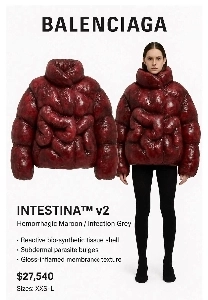 4000万ウォン相当のSaya’s Song コスプレジャンパー.jpg