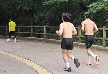 夏の蚊のように消え去った