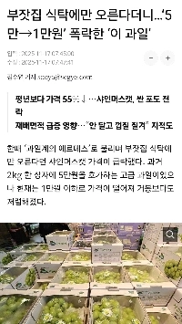 かつては2kgで5万ウォンもしたシャインマスカットの現状ㄹㅇ;、