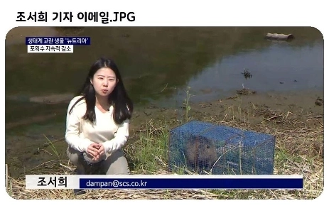 チョ「ソヒ」記者のメール