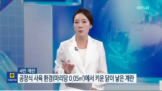 イ・ギョンシルの鶏卵事業は反応が悪い