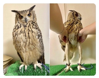 意外と足が長い