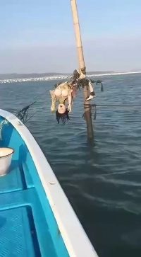 (SOUND)リアルドールを不用意に捨てないでください。