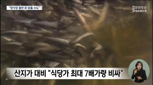 ウナギ価格「史上最大の下落」「」「養殖場の半数が破産寸前」「」」