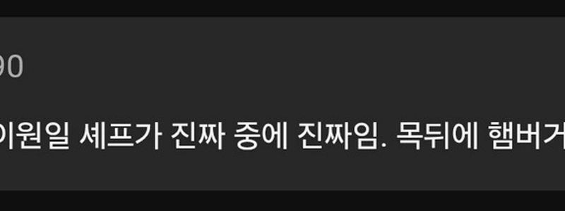 冷蔵庫とシェフの現在の状況に注意してください。 jpg