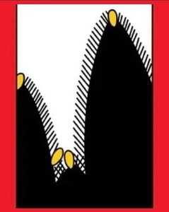 変な毛の生え方をした子犬