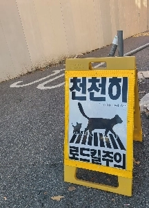 路上で交通事故の警告はありますか?ここは猫の国ですか？