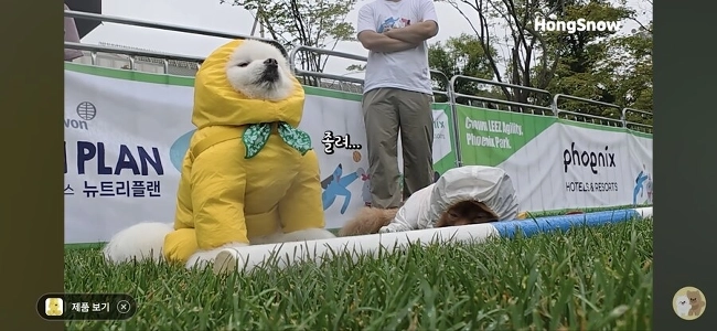 「」「「競争を待ってください」「」」 1位と2位の子犬