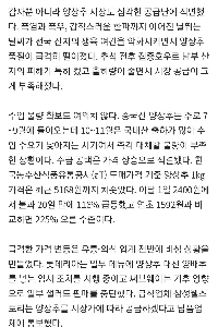 ハンバーガーにレタスの代わりにキャベツ？レタスの危機