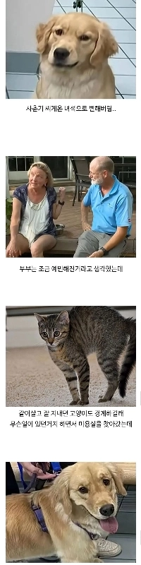 ゴルダンが美容院に行ったらハマった理由