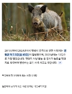 韓国のクマに似た危険動物