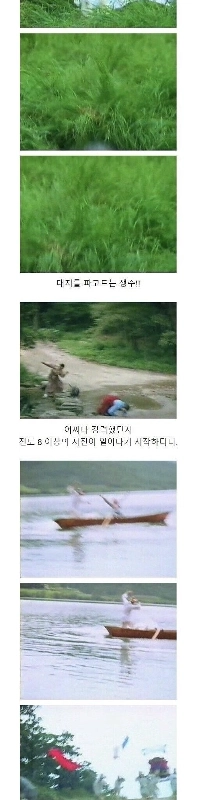 ㅇㅎ?) タイガータバコを吸っていた頃、美しい女性がいました。