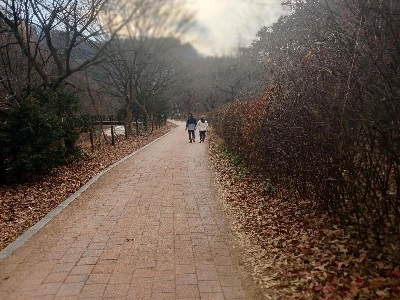 ハイキング中に動きが重なることが多かった老夫婦。