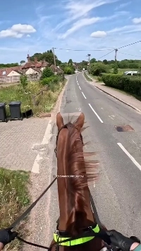 (SOUND)馬を知っている人ならわかると思いますが、馬はとても怖い動物です。