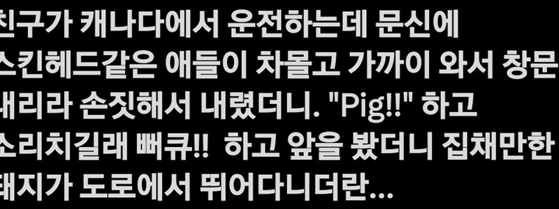 カナダ人はアジア人は「豚だ！」と言う