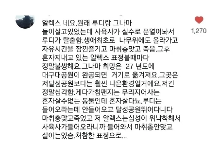 大邱の達城公園で落ち込んだチンパンジー