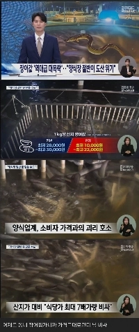 国産食料が激減していると言われている