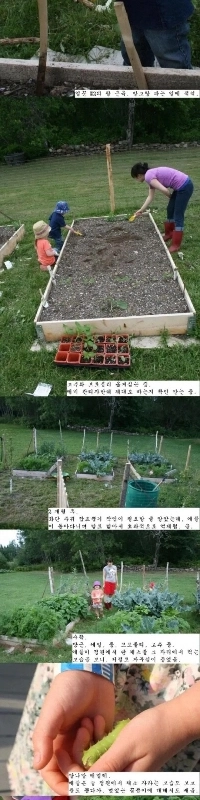 食費が高すぎるため特別措置がとられた。