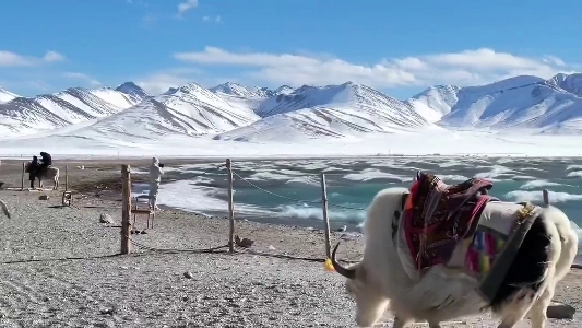 (SOUND)標高4,718メートルに位置する塩水湖。