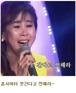 スバンサ「マイ・オウン・シアター」インテリアの伝説