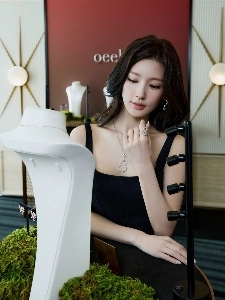 純粋な階級で見るとチャン・カ・ソルユよりも一つ上の階級にある。