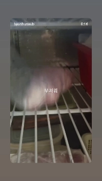 (SOUND)嫌い。活ブリの熟成