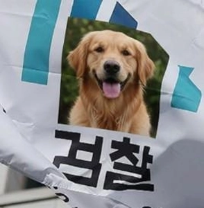 【速報】検察、控訴断念