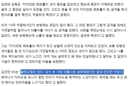 南極料理人ペンギン論争