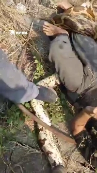 (SOUND)インド人男性が食べられそうになる