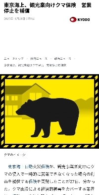 来月から日本でも新しい保険が発売される