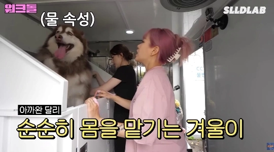 (SOUND)犬に苦しむ女性アイドル