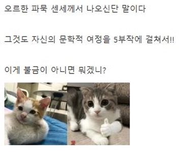 今夜はみんなEBSを見るでしょう