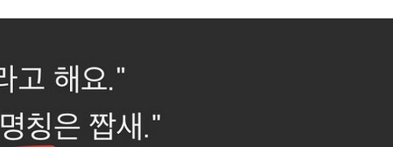 私が日本人に日本語を教えているのを見たコメント投稿者。