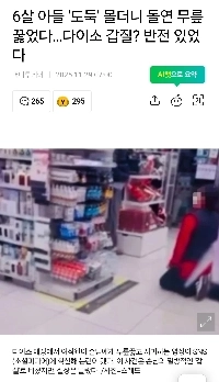 ダイソーガプジル事件逆転