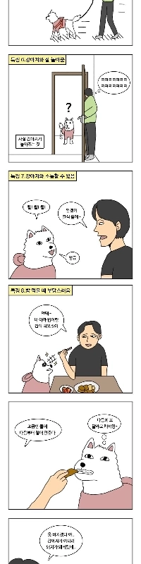 犬を飼う人の特徴