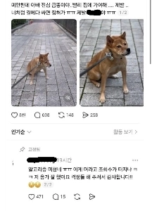 犬の飼い主が散歩中に突然うんちをしてしまう