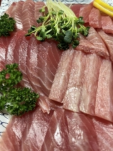 本日の一人飲み マグロ