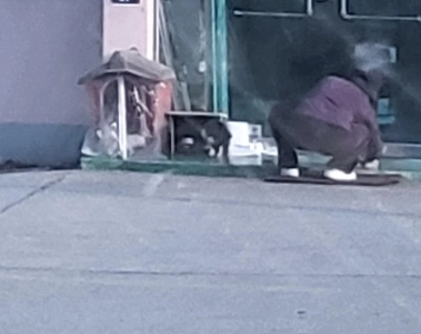 そんなに気に入ったら採用してください。