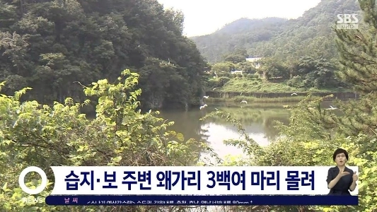 ヘロン タワー ディフェンス