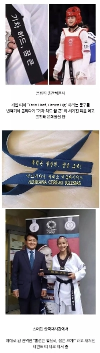 翻訳機を誤って使用したテコンドー選手